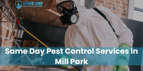 Pest Control Mill Park